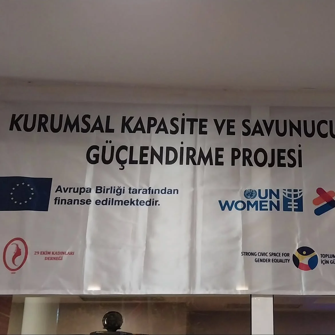 The banner of the Institutional Capacity and Advocacy Strengthening Project