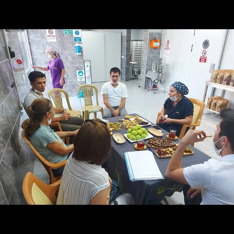 Fig and Olive Oil Feasibility in Aydın: Site Work