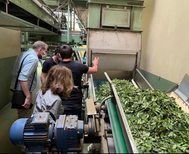 Site work: tea processing plant