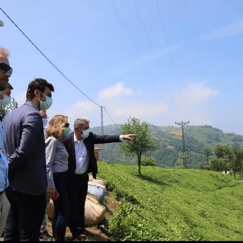 Organised Industrial Zone Feasibility in Of and Araklı, Trabzon: Site Work